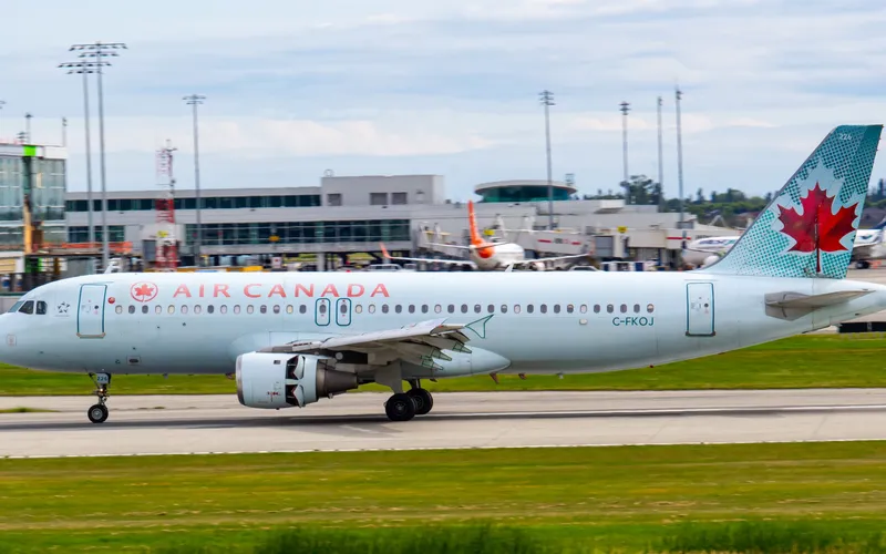 2024 Canadian Airline Pet Policy Guide: 4 Methods of Flying with a Pet