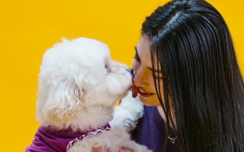 Does a Dog Like Human Kisses? How Does a Dog Understand Human Kisses?
