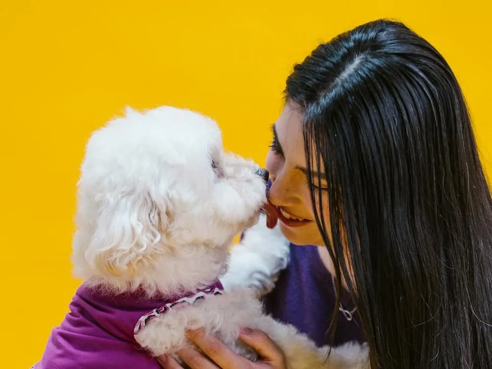 Photo of a Woman Playing with a White Dog