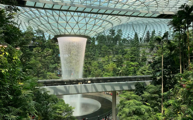 Traveling to Singapore with Your Pet? What You Need to Know About the New Import Rules