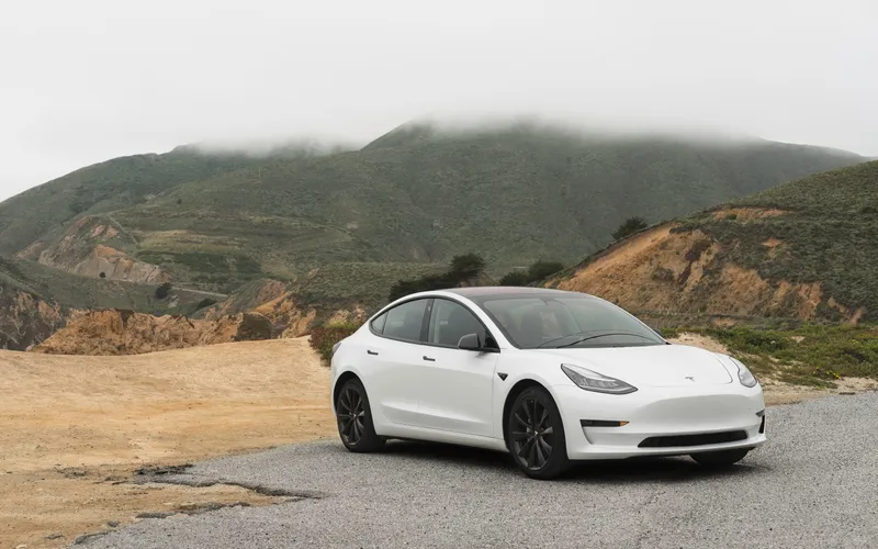 Tesla Dog Mode Door Risk: Dogs Can Escape (How to Prevent It)