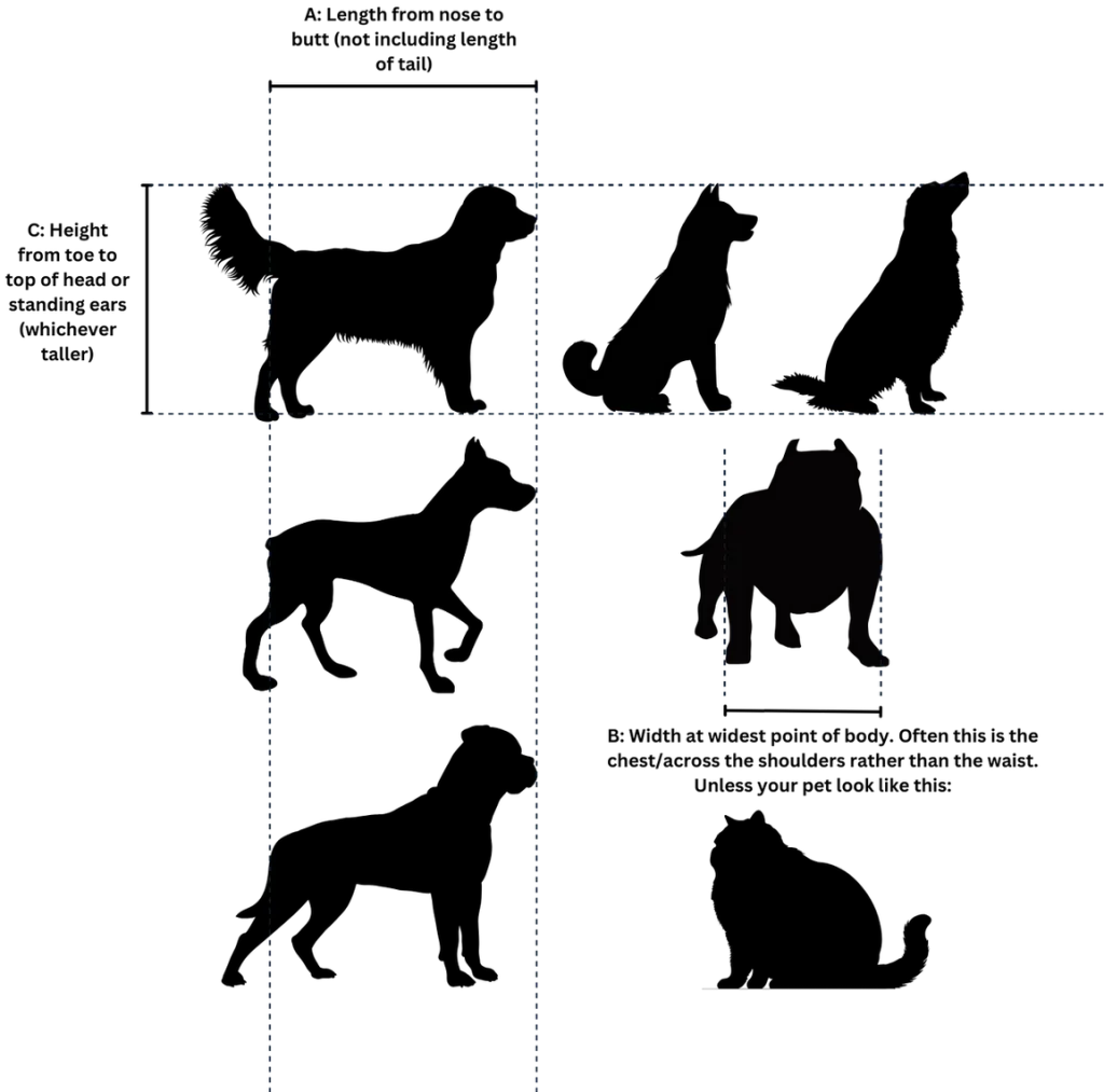 Illustrated diagram of dog and cat silhouettes labeled A (length from nose to tail base), B (width at the widest point of the body), and C (height from toe to top of head or ears), showing where to take each measurement for crate sizing.