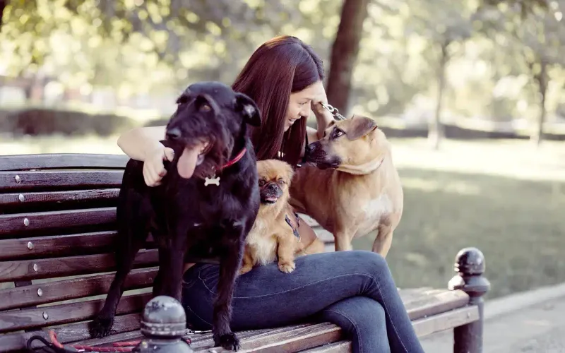 Veterinarians of Reddit: Top 10 Ways to Improve Your Pet’s Life Today