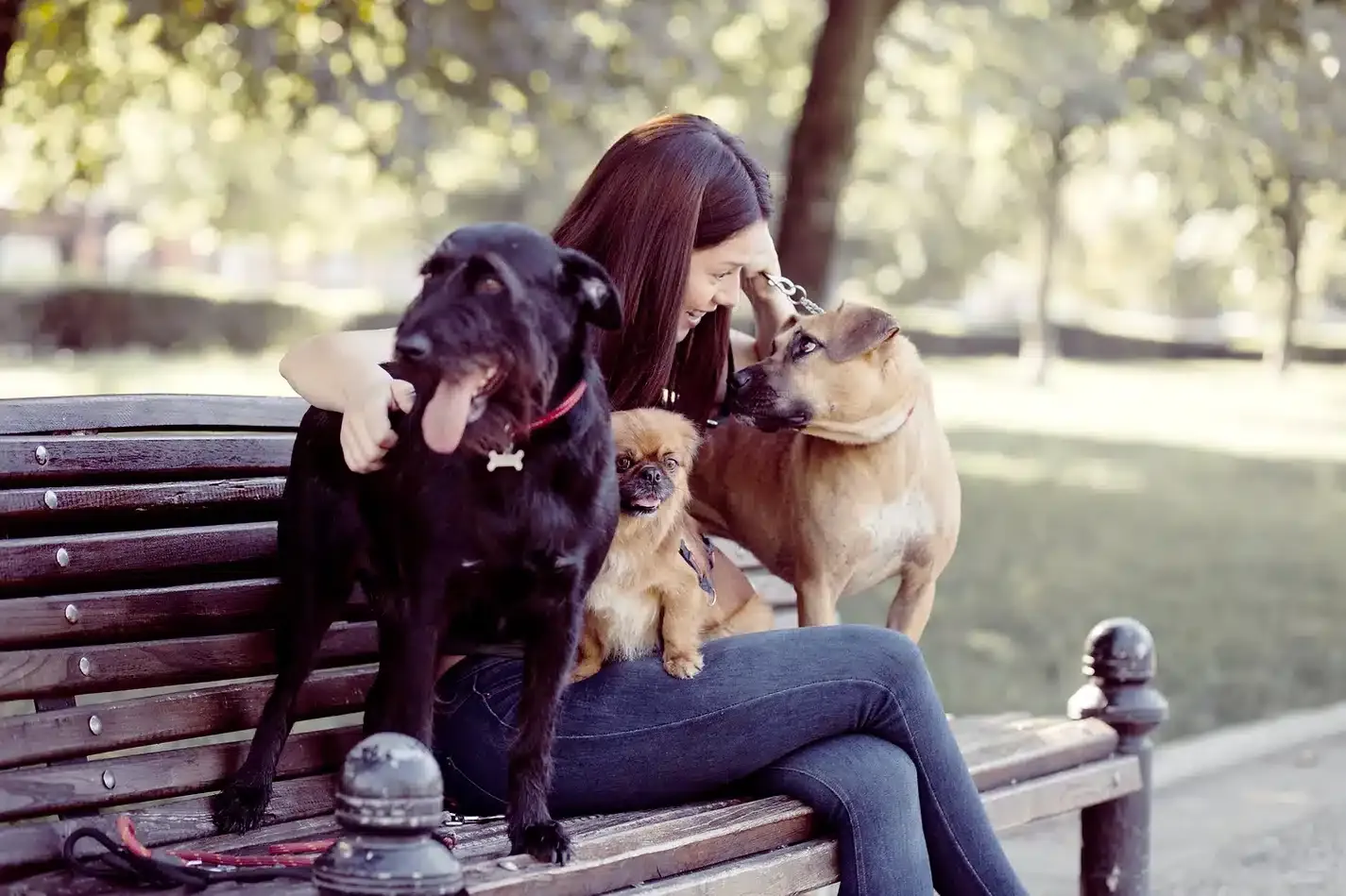 Woman sitting on a park bench bonding with three dogs of different breeds, showcasing the importance of spending quality time with pets.