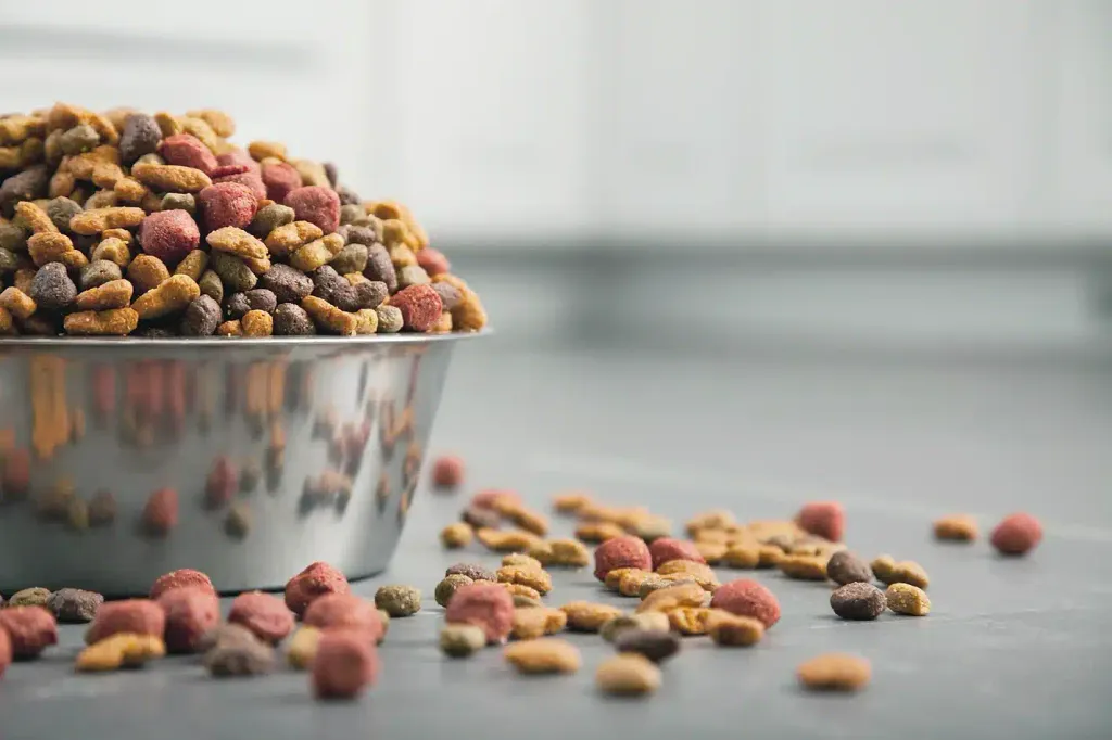 Close-up of a stainless steel bowl overflowing with multicolored dry kibble, with extra pieces scattered on the gray countertop beside it.