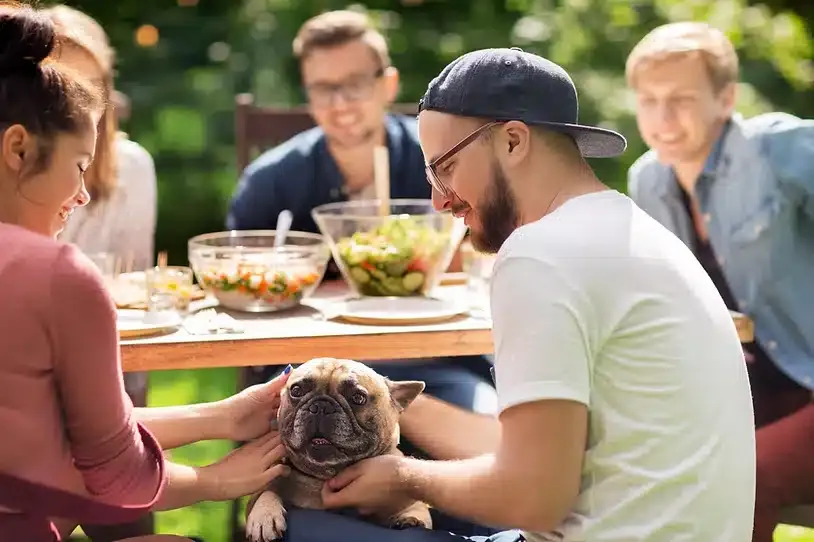 A small brown-and-white dog is held and petted by a woman and a man at an outdoor picnic table set with salad bowls, while other guests sit nearby in a sunny backyard.