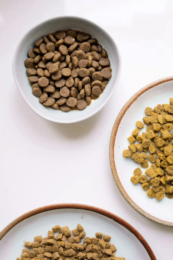 Overhead view of a bowl and two plates holding different shapes of dry dog kibble — round brown pieces and golden-brown chunks — arranged on a white surface.