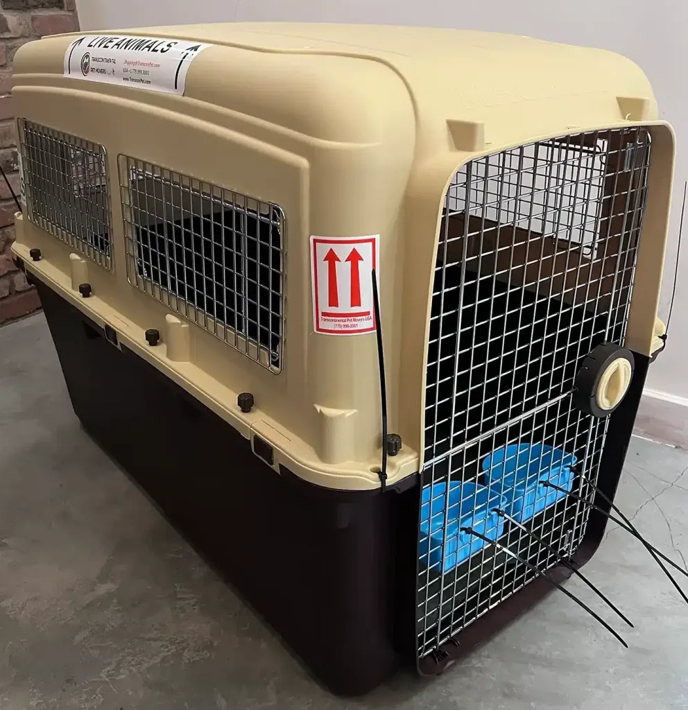 Angled close-up of a single tan-and-brown Magnum-brand airline travel crate, showing its ‘LIVE ANIMALS’ label, ventilation grilles, a blue water bucket mounted on the wire door, and zip ties securing the door.
