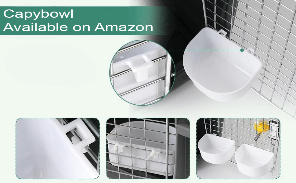 capybowl available on amazon