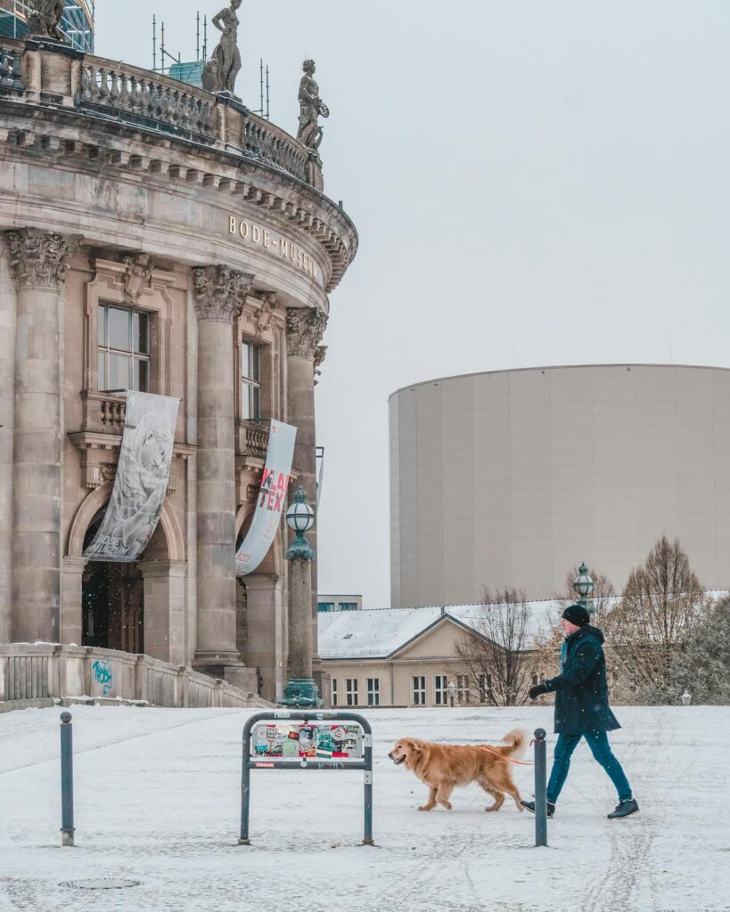 a person with a dog walking in city