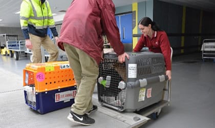 Post Entry Quarantine (PEQ)