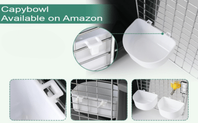 2024 Best Pet Travel Crate Bowl Winner for Small Dogs and Cats: Capybowl