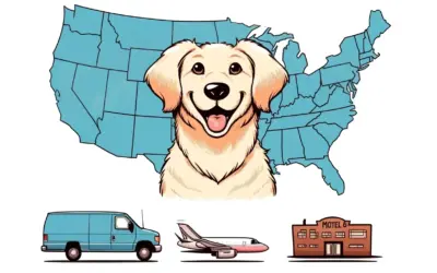 What’s the Cost of Shipping a Large Dog Across the US?
