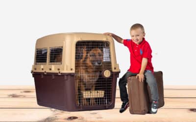 Magnum Dog Crates for Sale in the United States