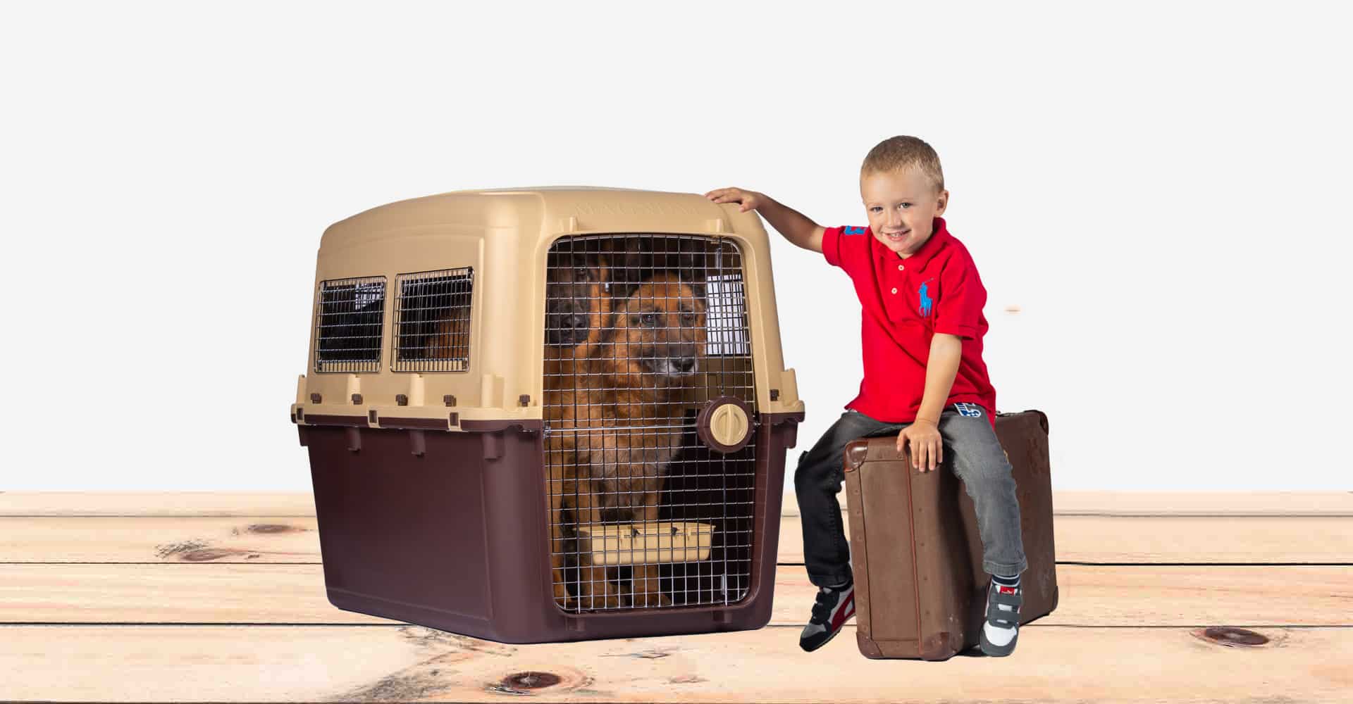 magnum crate with kid and German Shepards