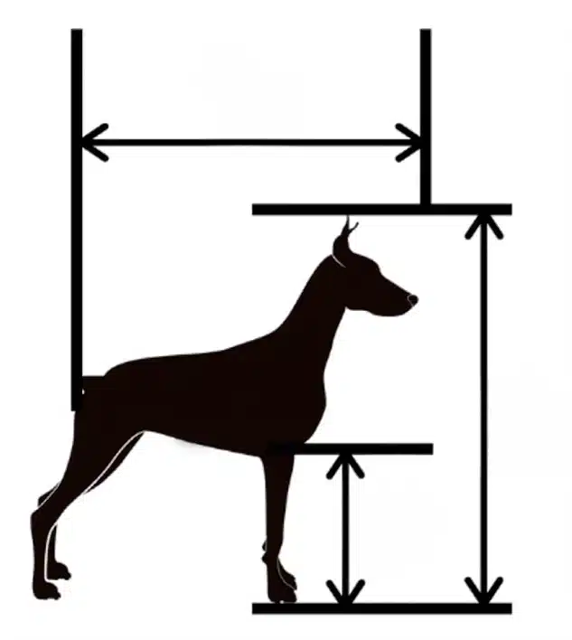 iata pet measurement guide