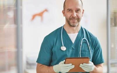 Step-by-Step Guide to Finding a Vet for Your Pet’s International Travel Health Certificate