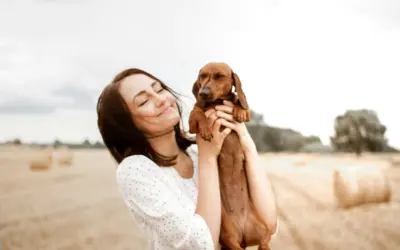 Essential Guide to International Pet Shipping: How to Transport Your Pet from the USA to Another Country