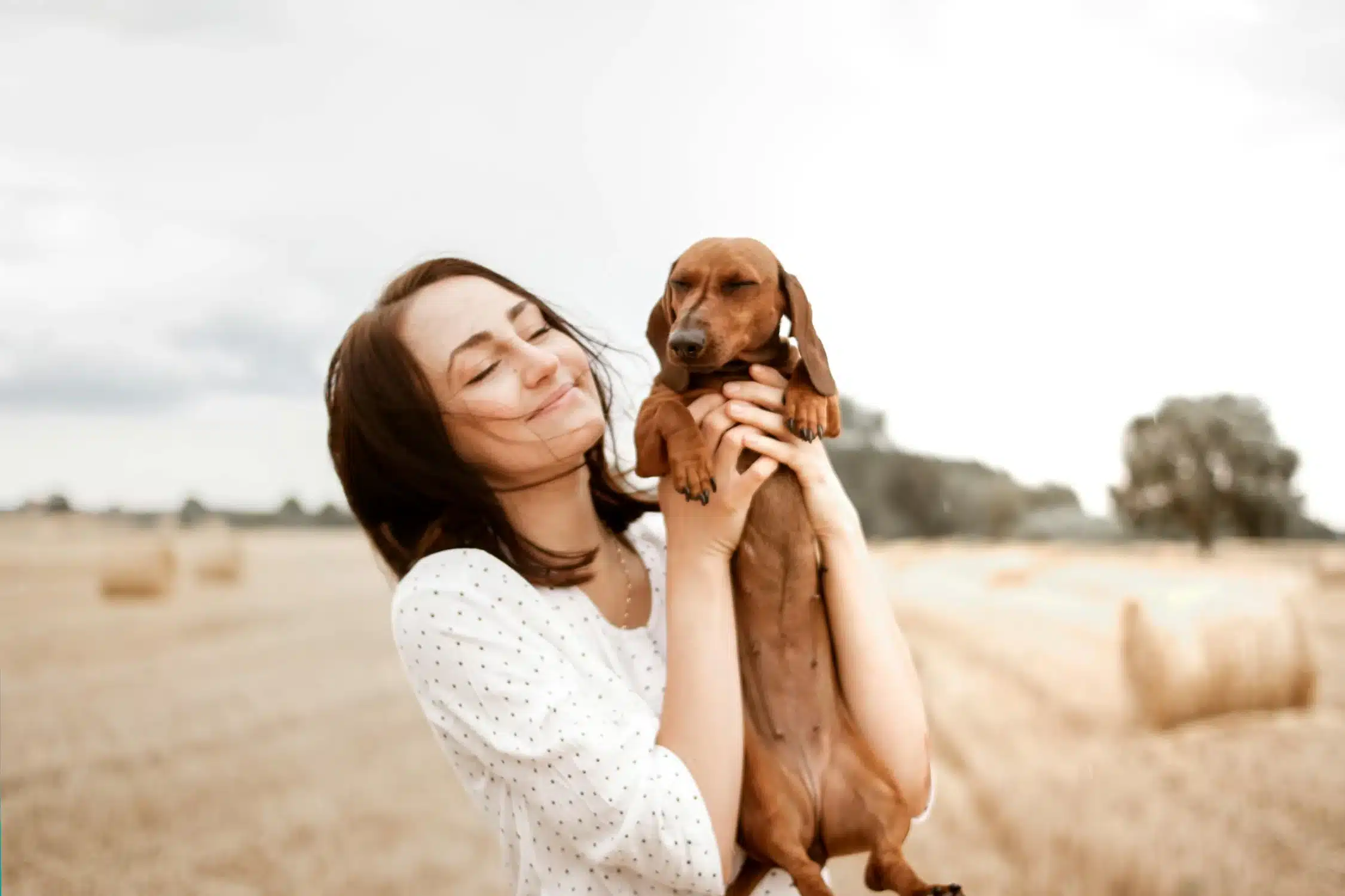 person holding dog