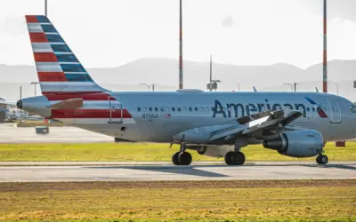 2024 U.S. Airline Pet Policy Guide: 4 Methods of Flying with a Pet