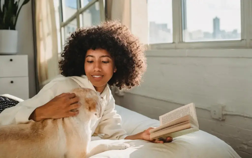 dog-on-bed