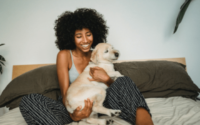 Unpacking the Mystery: Why Does My Dog Always Lay on Me?