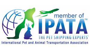 ipata