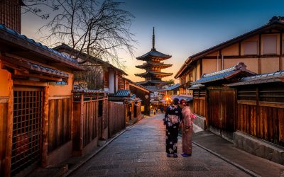 How Much Does It Cost to Ship a Dog or Cat from the U.S. to Japan?
