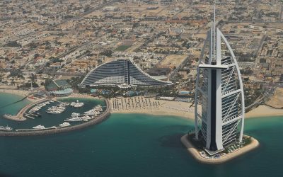 How Much Does It Cost to Ship a Dog or Cat from the U.S. to Dubai (UAE)?