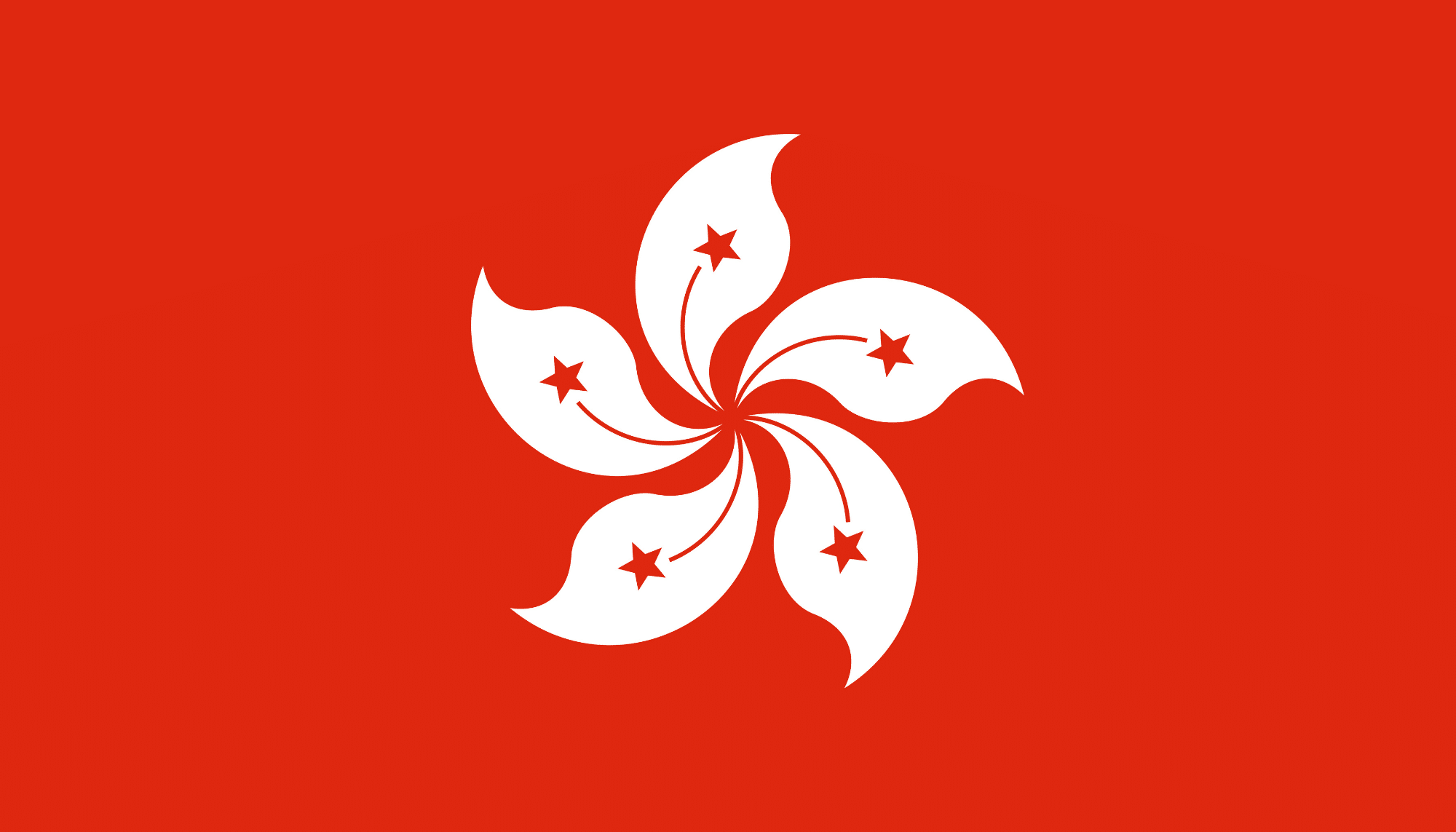 Ship a Dog or Cat from USA to Hong Kong | Costs, Permits & Process