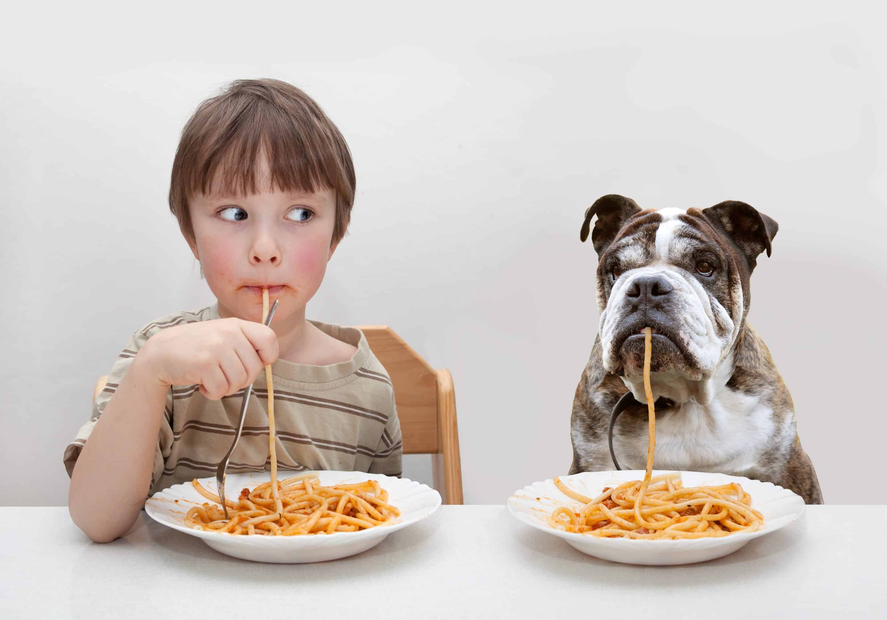 Boy and bulldog eating spaghetti at table
