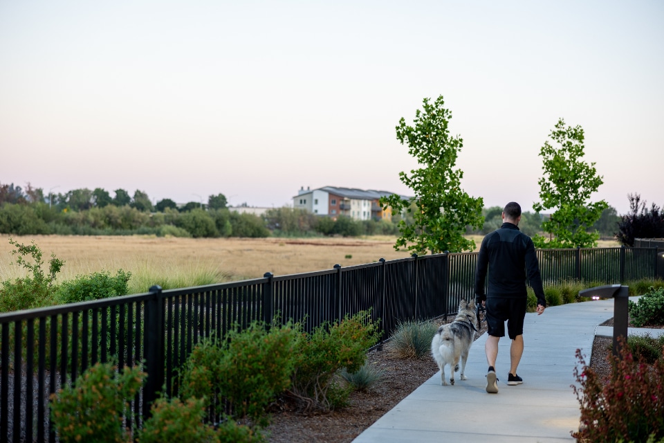 Person walking dog on leash along park path