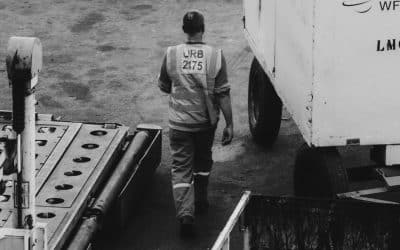 Is the Cargo Hold Safe for Pets?