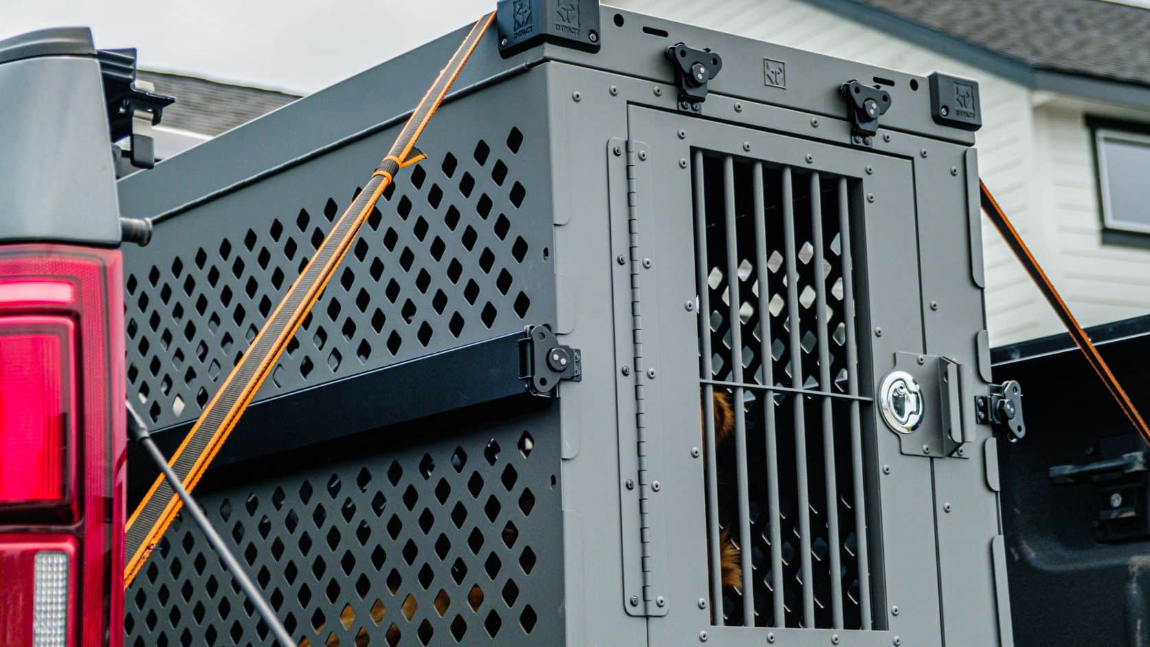 Heavy-duty dog crate secured in a pickup-truck bed